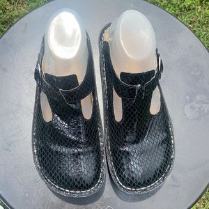 Algeria - Hello Dolly Black mules clogs-37